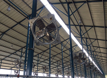 ZRSF SERIES COW HANGING EXHAUST FAN