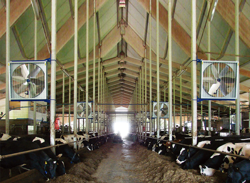 ZRA SERIES COW HANGING EXHAUST FAN